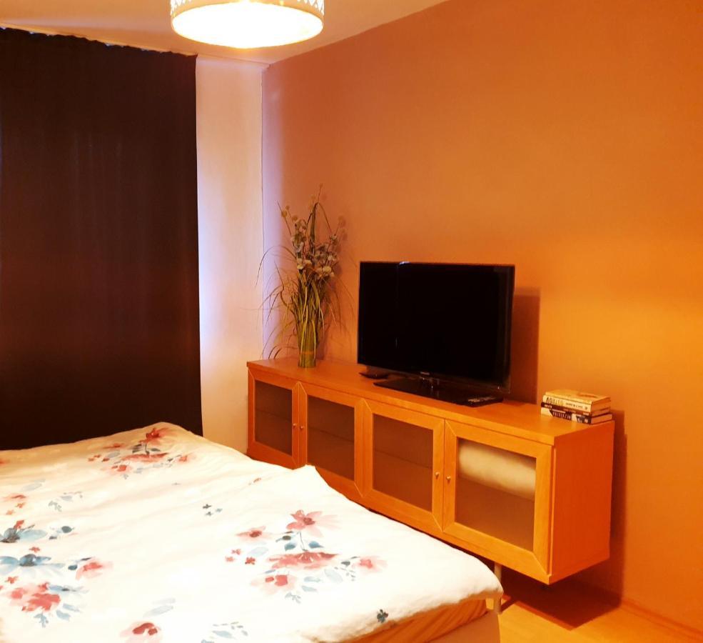 Apartman Terminal, Self Check-In 24 H, Free Parking 班斯卡-比斯特里察 外观 照片